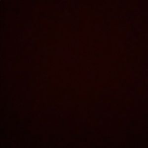 Meet your Posher, Ariel